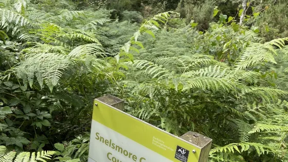 Snelsmore Common