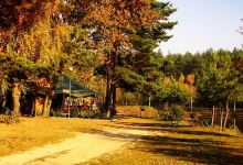 Taaka Ryba景点图片