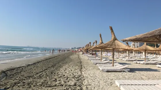 Shut Up Beach