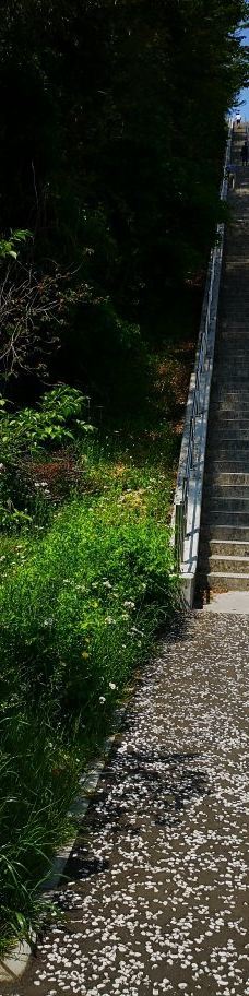 生田配水池 展望広场-川崎市