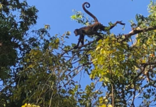 Arqueología Mesoamericana with Juan Bendfeldt景点图片