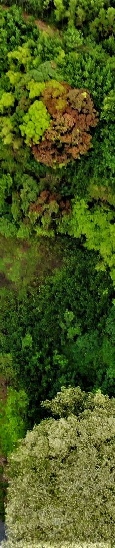 Wailua Falls-茂宜县