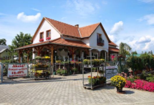 Sarkadi Gardening & Co.购物图片