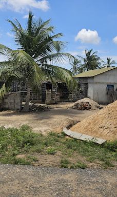 Keta Lagoon Protected Area-凯塔