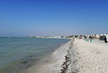 Malkiya Beach景点图片