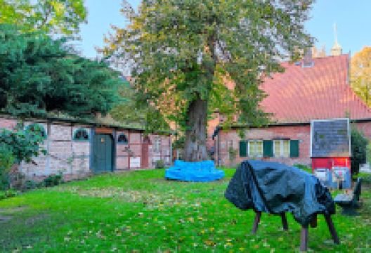 Klosterkirche Uetersen景点图片