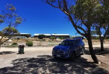 Nature Playground & bike track景点图片