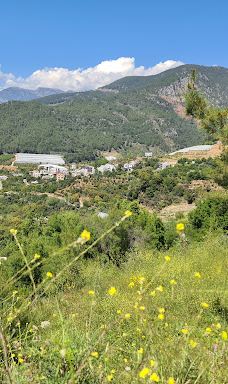 Dim钟乳岩洞-阿拉尼亚