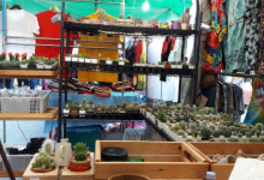 礼拜六夜市景点图片