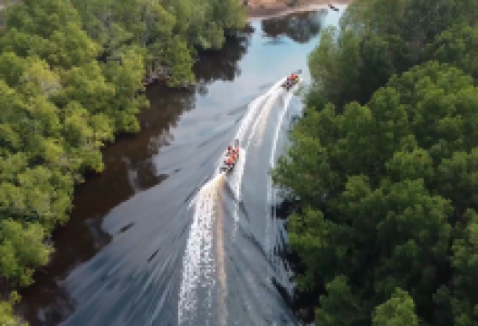 Parc Marin des Mangroves景点图片