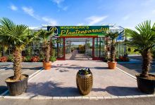 Moerkerk Plant Paradise购物图片