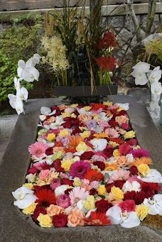 彦岛八幡宫-下关市