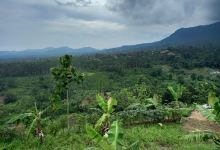 Sumber Agung (SA) View景点图片