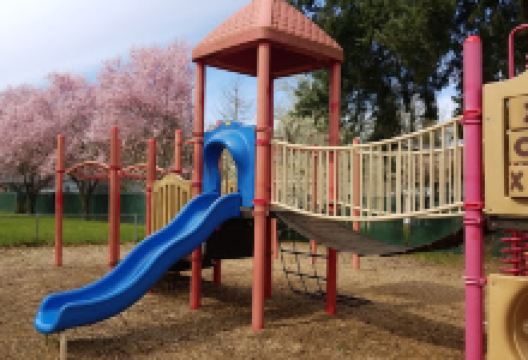 Harrison Park景点图片