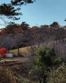 市民の森不習岳-八户