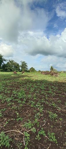 GPI Waterpark-Mapanget