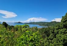 Forest Reserve South Crete景点图片