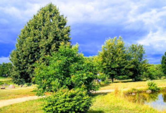 Findlingsgarten Seddiner See景点图片