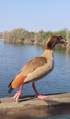 Hod HaSharon Park-Petach Tikva