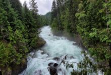 Kaslo River Trails Access景点图片