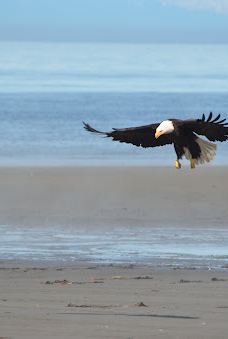 Deep Creek State Recreation Area-欢乐谷