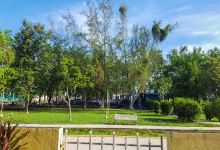 Maria Auxiliadora Central Park景点图片