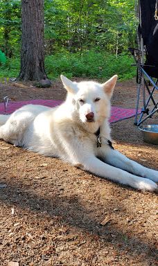 Mikisew Provincial Park-Machar