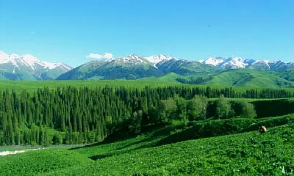 唐布拉避暑山莊