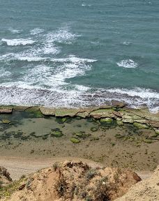 Sharon Reserve-Hof HaSharon