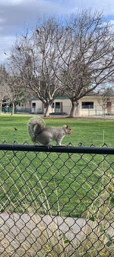 林科纳达公园-帕罗奥图