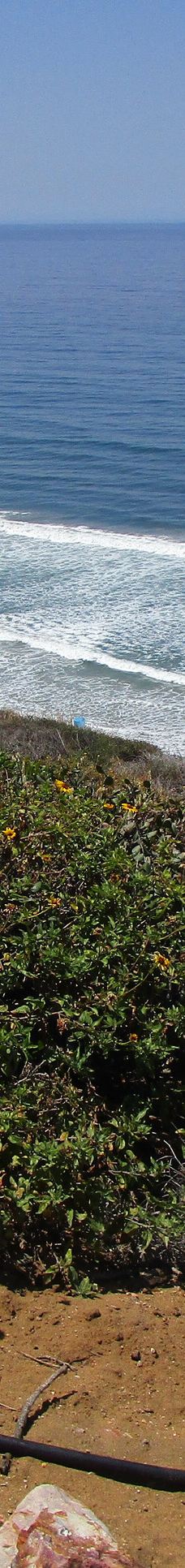 多利松国家自然保护区-佐拉