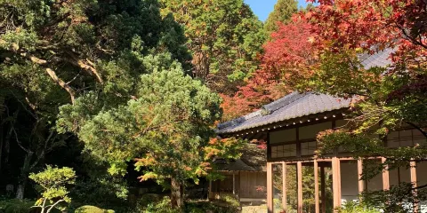 雷山千如寺 大悲王院