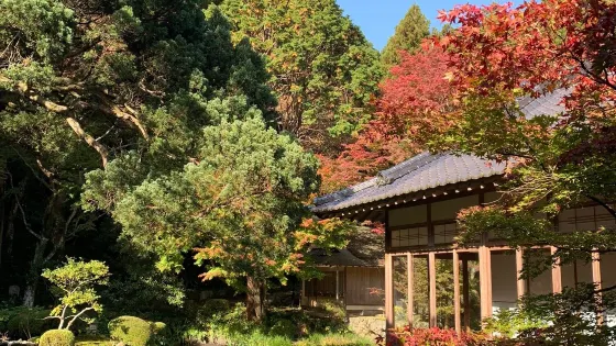 雷山千如寺 大悲王院