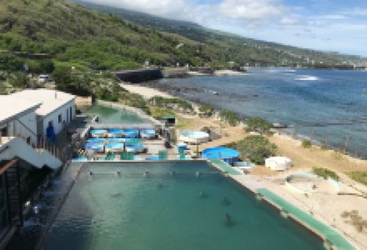 留尼汪岛水族馆景点图片
