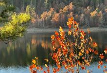 Lake Ouachita State Park景点图片