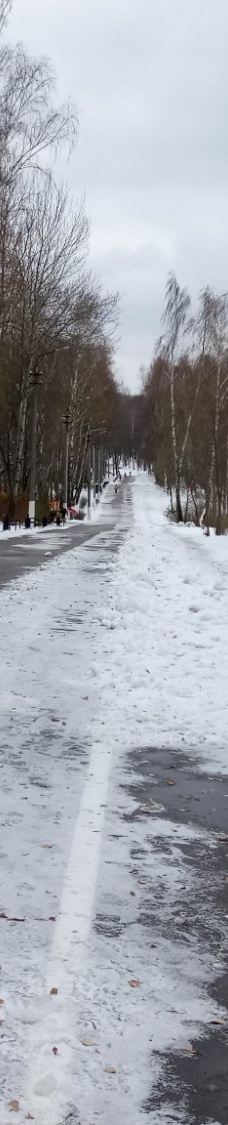 Komsomol'skiy Park-图拉