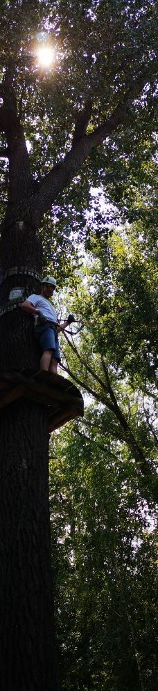 Zamárdi Adventure Park-佐马尔迪