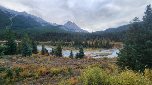 5-Day Calgary Tour·Lake Louise Ski Resort, Yoho, Lake Louise, Johnston Canyon, Banff | Free Airport Transfer