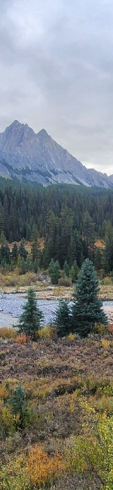 强斯顿峡谷-Improvement District No. 9