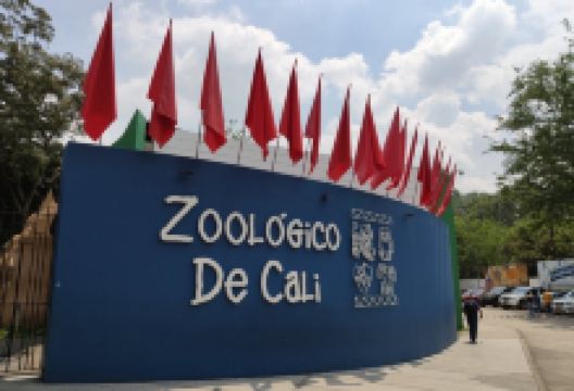 Zoologico de Cali景点图片