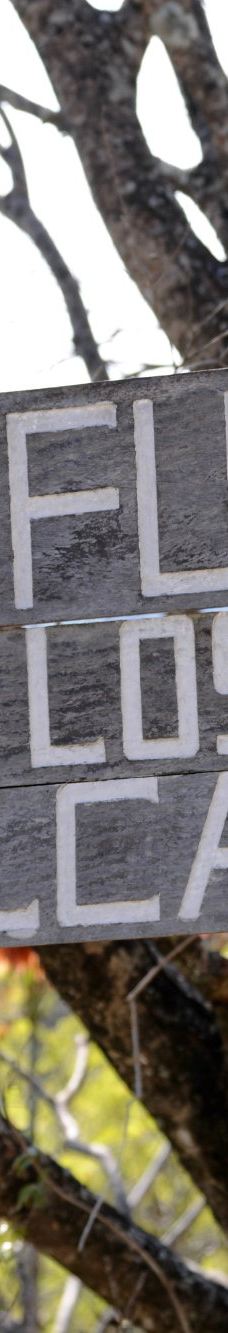 Amboro National Park-圣克鲁斯