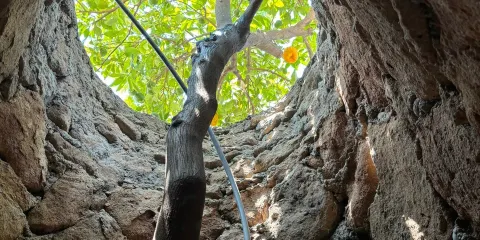 福雷斯蒂耶雷地下公園