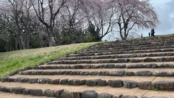 多賀城跡
