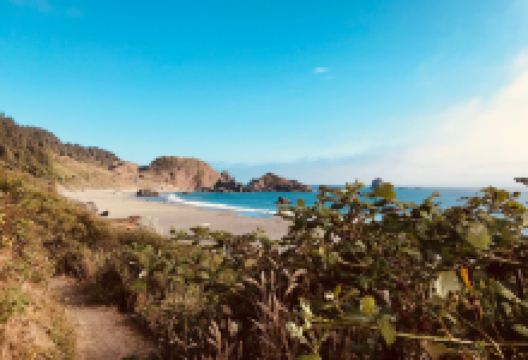 Lone Ranch Beach景点图片