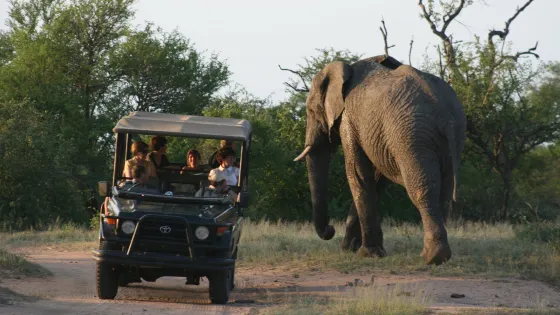 Tshukudu Game Lodge