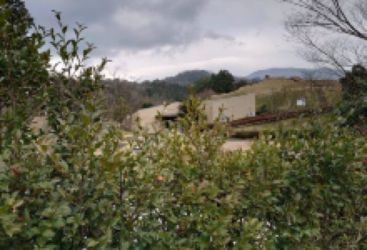 Yosano Town Ancient Tomb Park景点图片