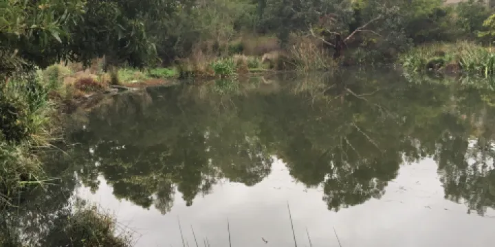 Herriotts Glen Reserve