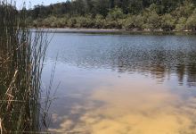 Lake Allom景点图片