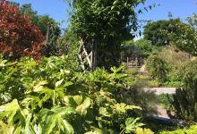 Aberdour Sensory Garden景点图片