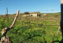 Gavalas Crete Wines景点图片